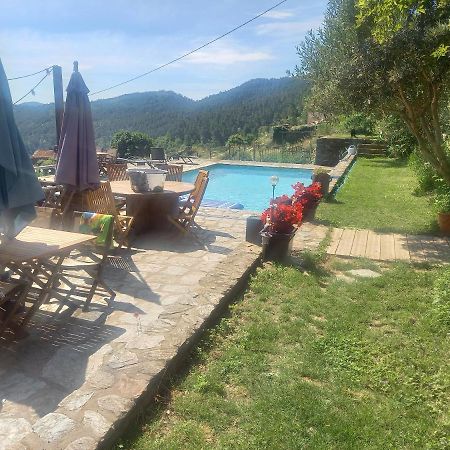 Le Mercou En Cevennes Saint-Martin-de-Boubaux Zewnętrze zdjęcie