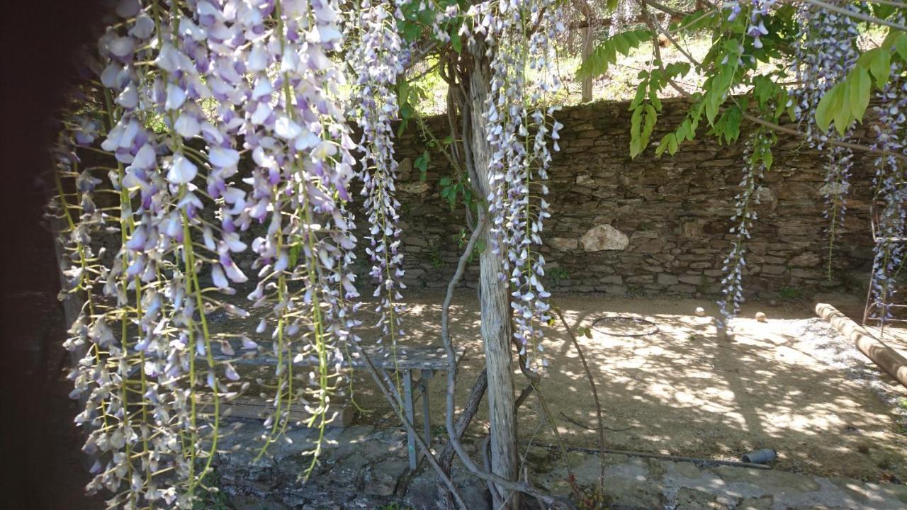 Le Mercou En Cevennes Saint-Martin-de-Boubaux Zewnętrze zdjęcie
