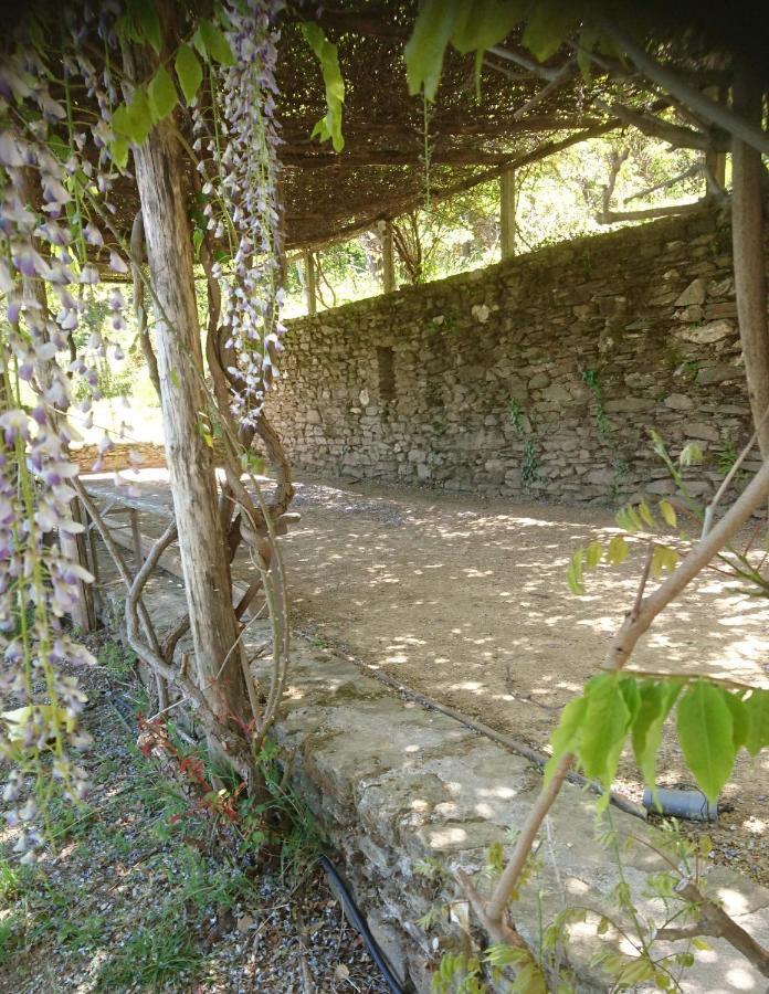 Le Mercou En Cevennes Saint-Martin-de-Boubaux Zewnętrze zdjęcie