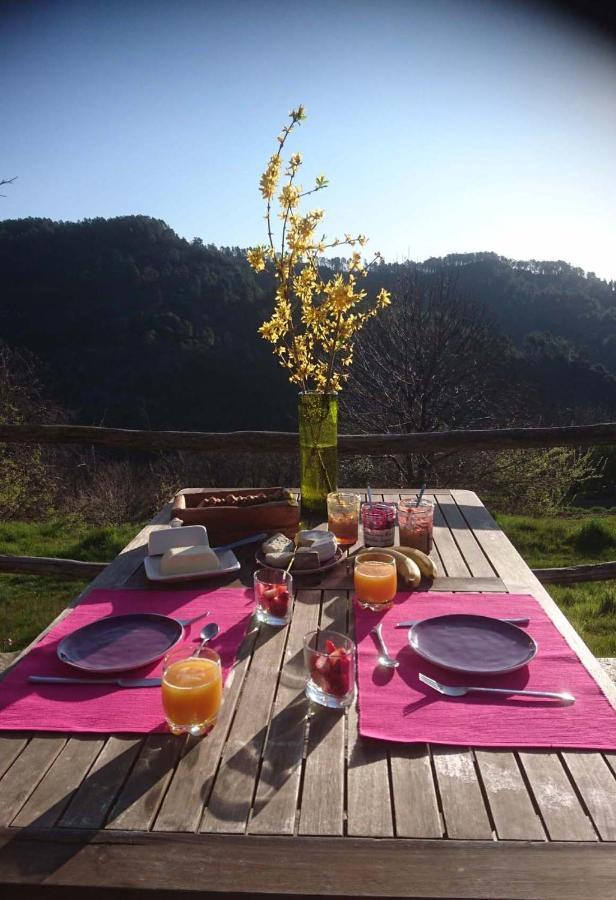 Le Mercou En Cevennes Saint-Martin-de-Boubaux Zewnętrze zdjęcie